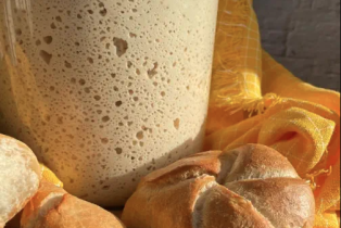 Bildschirmfoto-2023-02-07-um-08.54-17