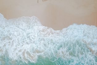 pexels-brady-knoll-3369569