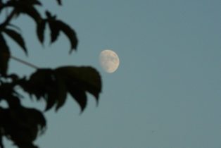 pexels-saniye-nur-aydin-17645747